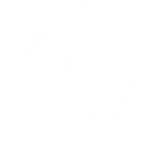 Stock Futures & Options
